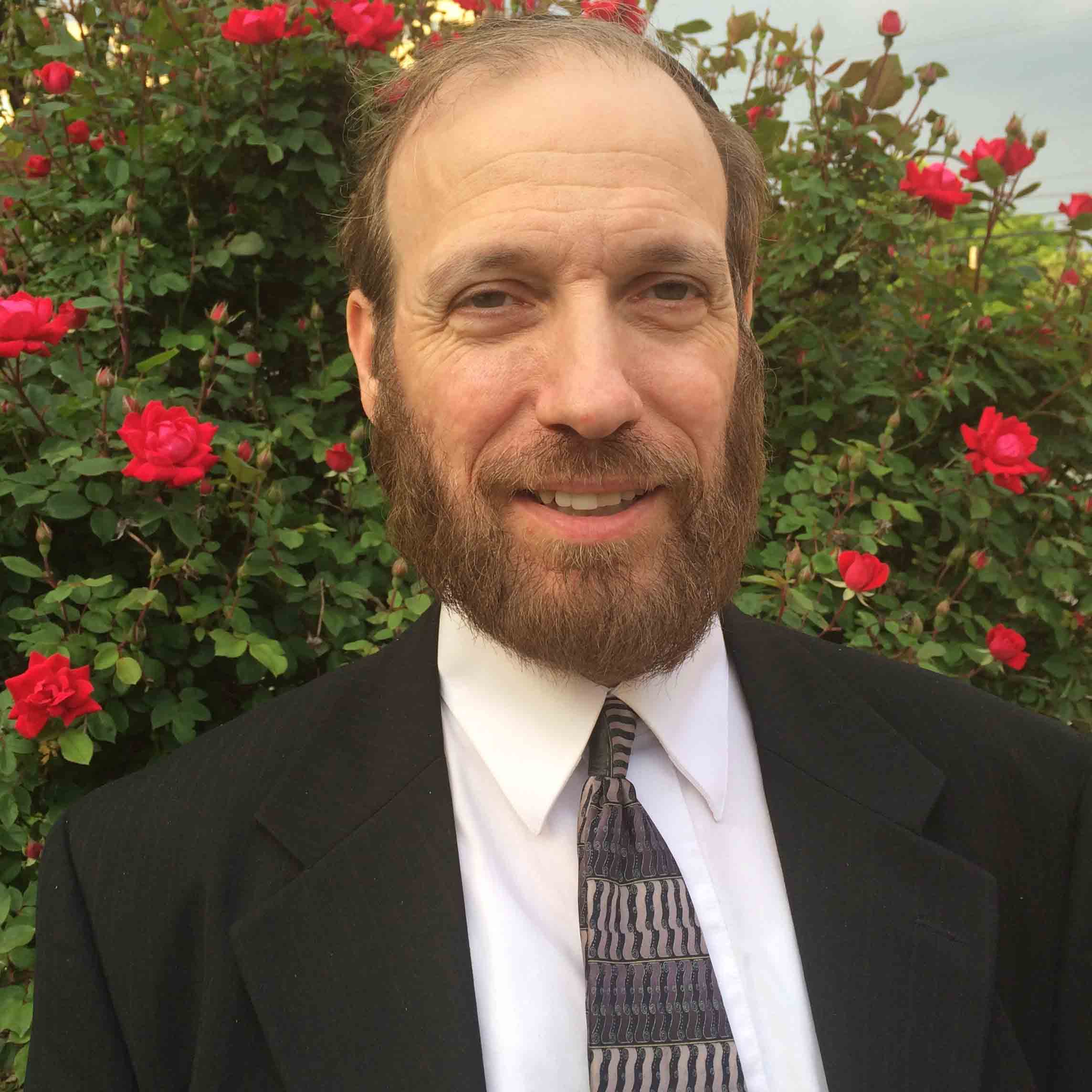 Rabbi David Borenstein